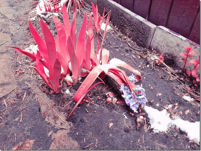 photo_2025-04-10_19-08-08